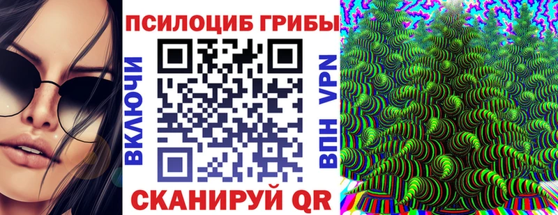 Галлюциногенные грибы Psilocybine cubensis  мориарти какой сайт  Мамадыш 